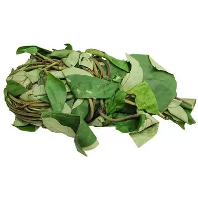 AF UZIZA LEAVES