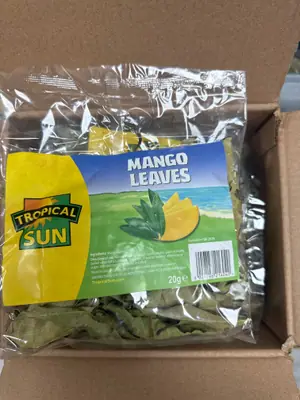 mango leaf tee